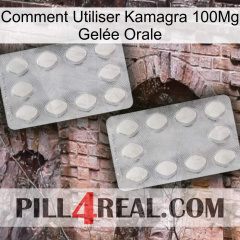 Comment Utiliser Kamagra 100Mg Gelée Orale 17
